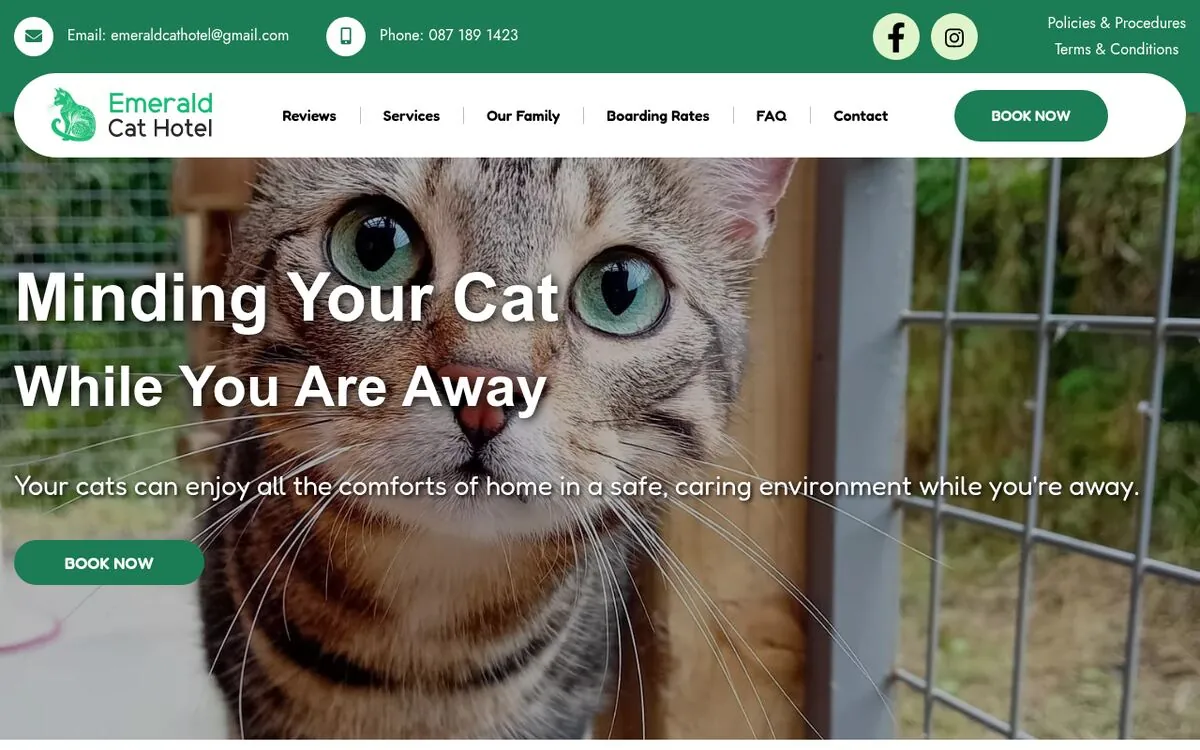 Emerald Cat Hotel homepage — cat boarding website built by Digital Bridge in Wexford